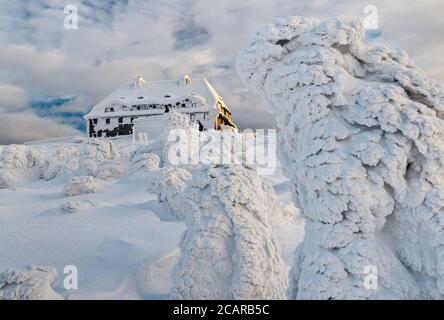 Capanna di montagna, pini nani, ghiaccio e neve racchiusi, all'alba, cima di Szrenica, Parco Nazionale di Karkonosze, Polonia Foto Stock