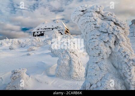 Capanna di montagna, pini nani, ghiaccio e neve racchiusi, all'alba, cima di Szrenica, Parco Nazionale di Karkonosze, Polonia Foto Stock