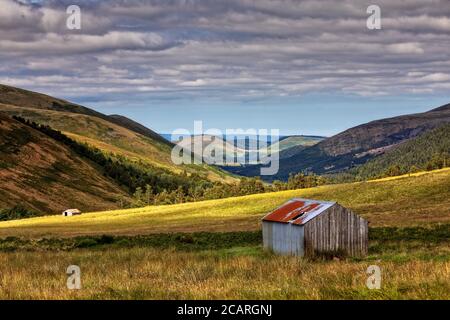 College Valley, Northumberland Foto Stock