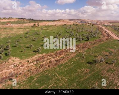 Campi verdi fertili circondano l'impianto di trattamento delle acque reflue di AS-Samra a Zarqa, Giordania. Foto Stock