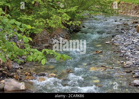 Piccolo fiume alpino in Svizzera Foto Stock
