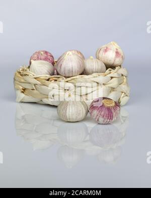Bulbi di aglio appena freschi in un cestino su sfondo bianco. Vengono utilizzati per cucinare e coltivati in Asia. Foto Stock