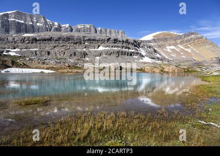 Prateria alpina naturale e riflessioni delle Montagne Rocciose nel tranquillo paesaggio panoramico del fiume Brazeau, nel Parco Nazionale Jasper delle Montagne Rocciose canadesi, Alberta Foto Stock