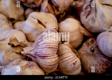 Vista ravvicinata dall'alto a bulbo d'aglio e viola Aglio chiodi di garofano.Macro foto Foto Stock