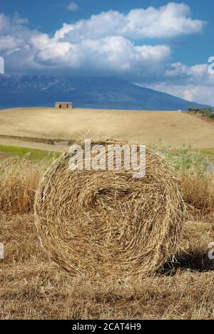 Paesaggio rurale della Sicilia in estate con balle di fieno rotonde e abbandonato edificio su una collina sotto il cielo blu e. nuvole bianche Foto Stock