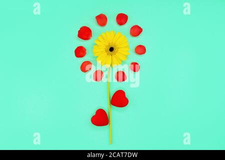 Sfondo floreale primavera. Bellissimi fiori su sfondo turchese. Motivo floreale con petali su sfondo turchese. Cornice floreale. Petali di rosa su sfondo turchese. Foto Stock