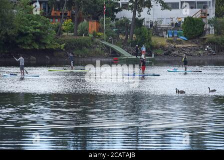 Alzati in piedi per i paddle lungo le acque della gola di Saanich, British Columbia, Canada, sull'isola di Vancouver. Foto Stock