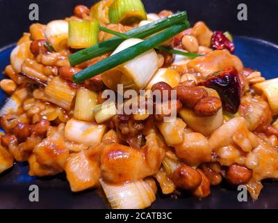 Cucina cinese tradizionale pollo Kung Pao con arachidi e scalogno in condizioni di luce intensa Foto Stock