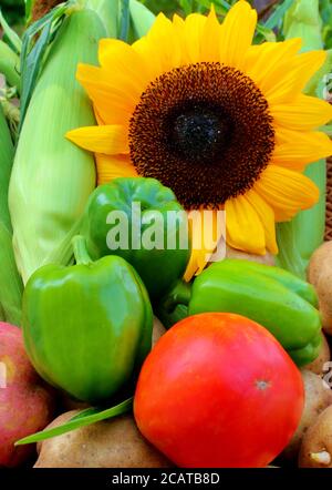 Verdure fresche e fiori di sole in fiore Foto Stock