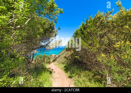 Sentiero nella natura a Cala dei Ginepri, Sardegna Foto Stock