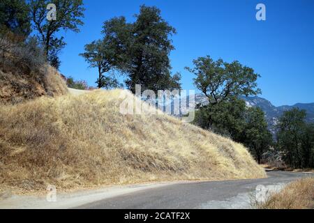 Scenic Byway Canyon Road a Zion National Park, Utah, Stati Uniti Foto Stock