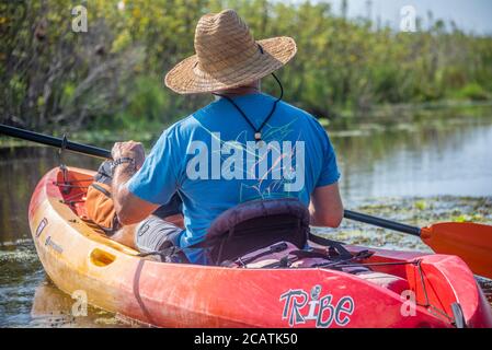 Kayak esplorando la palude costiera del fiume Guana a Ponte Vedra Beach, Florida. (STATI UNITI) Foto Stock