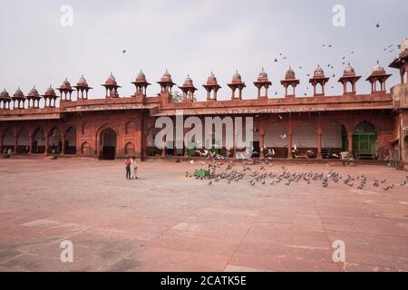 Agra / India - Febbraio 12, 2020: Due bambini piccoli giocano con i piccioni nel grande cortile interno della Moschea Jama Foto Stock