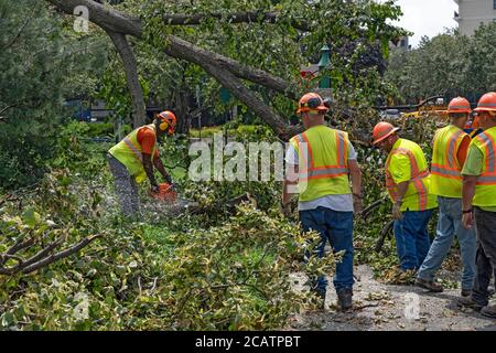 NEW YORK, NY - 08 AGOSTO: Un lavoratore con motosega rimuove i detriti da un albero caduto nel quartiere di Astoria l'8 agosto 2020 a New York City. Foto Stock