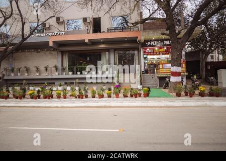 Agra / India - 22 febbraio 2020: Strade decorate con vasi di fiori in occasione della visita del presidente degli Stati Uniti Donald Trump alla città di Agra Foto Stock
