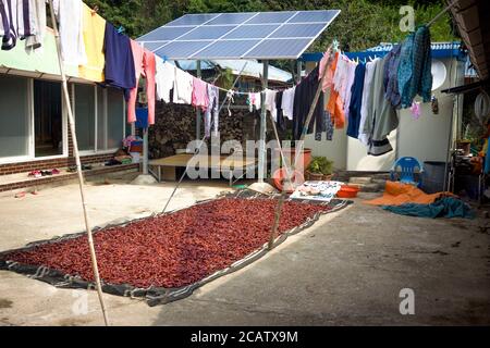 Il fiew nel piccolo villaggio coreano Foto Stock