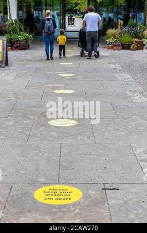 Adesivi gialli e neri da 2 m con piano di distanziamento sociale che ricordano i cartelli all'ingresso del RHS Garden, Wisley, Surrey Foto Stock