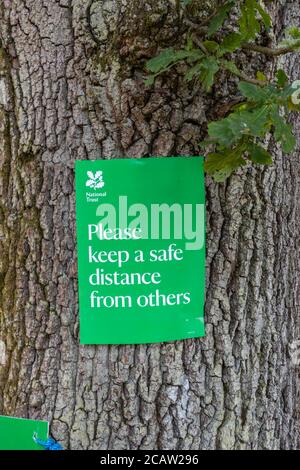 Un segno verde di allontanamento sociale del National Trust su un albero a Frensham Little Pond, un luogo di bellezza popolare in Surrey, Inghilterra sud-orientale Foto Stock