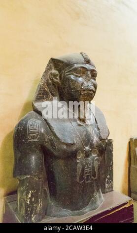 Egitto, Cairo, Museo Egizio, statua del Regno di mezzo (Dinastia 12), usurpata da Merenptah (nuovo Regno - Dinastia 19). Foto Stock