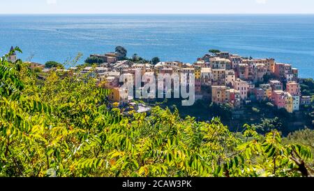 Splendida vista aerea del famoso villaggio balneare delle cinque Terre di Corniglia, Liguria, Italia, in una soleggiata giornata estiva Foto Stock