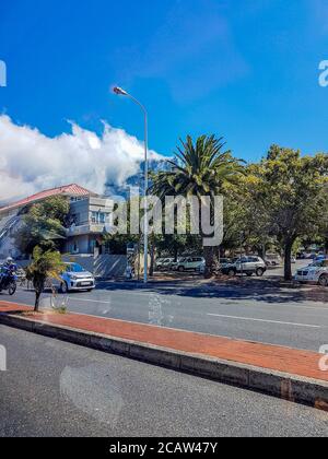 Guida attraverso le strade di Città del Capo con palme in estate, Sud Africa. Foto Stock