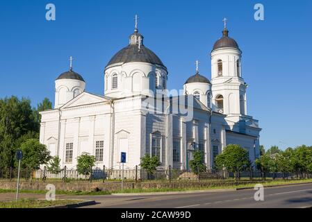 Cattedrale di Elia il Profeta da vicino in un giorno soleggiato di luglio. Soltsy, Russia Foto Stock