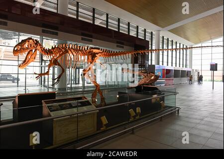 NIGER, Niamey, aeroporto, ossa fossili di dinosauro Afrovenator abakensis / Dinosaurier Skelett am Flughafen Foto Stock