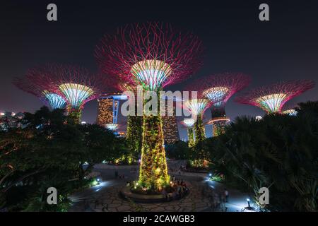 Singapore - 09 novembre 2020: Super alberi illuminati e Skywalk nei Giardini presso la baia di Singapore di notte Foto Stock