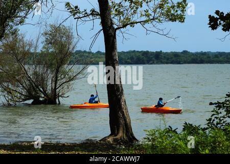 Kayak per due ragazzi sul lago di Disney, Oklahoma Foto Stock