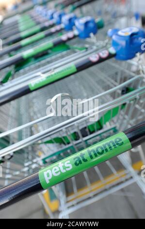 Numerosi carrelli per lo shopping PET at Home nel parcheggio dei tram. Foto Stock