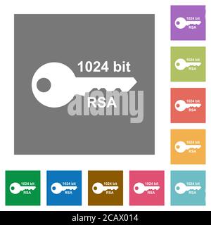 crittografia rsa a 1024 bit icone piatte su sfondi quadrati di colore semplice Illustrazione Vettoriale