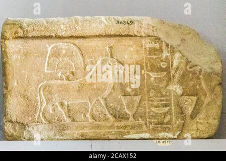 Egitto, Cairo, Museo Egizio, stela votiva con 2 arieti di Amon, arenaria, da Karnak. Foto Stock