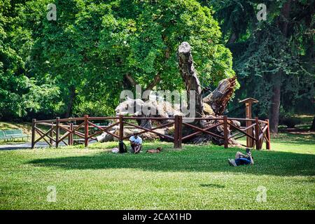 Milano, Italia 08.08.2020: Un tronco gigante nei Giardini pubblici Indro Montanelli è un importante e storico parco cittadino di Milano Foto Stock