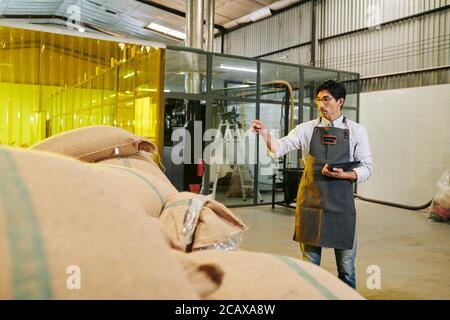 Proprietario di padronanza con tablet digitale in mani che contano sacchi con chicchi di caffè in magazzino Foto Stock