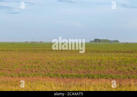 Sistema di irrigazione per campi agricoli con dispositivo agricolo da un tubo su ruote grandi; alimentazione idrica tramite pompa e ugelli e val Foto Stock