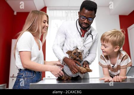 medico di veterinario sicuro controllare le unghie del cane, mantenere la salute degli animali, in clinica di veterinario Foto Stock