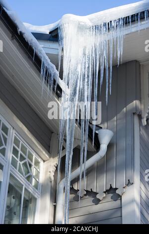 Tetto di edificio in legno coperto di icicles affilati, verticale.Sharp icicle appeso da un drainpipe.scarso isolamento termico del tetto conduce al fo Foto Stock