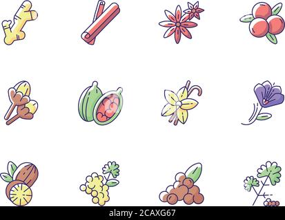 Set di icone di colore RGB per spezie indiane. Aroma aromatico. Cannella e anice stellato. Coriandolo e pepe nero. Stagionature asiatiche. Spezie indiane tradizionali Illustrazione Vettoriale