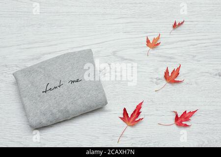 Maglione grigio con iscrizione e foglie autunnali. Concetto alla moda Foto Stock