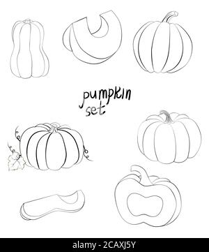 linea art zucca intera e fette. zucca monocromatica mano disegnata set. raccolta illustrazione vettoriale. Illustrazione Vettoriale