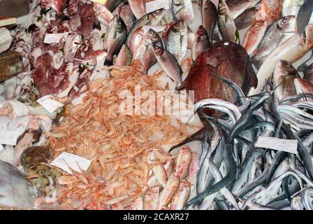 A Catania mercato del pesce fresco un cibo tipico della Sicilia dal mare Foto Stock