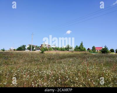 Il paesaggio anno in terreno rurale con tipo sul villaggio. Erba verde con albero su sfondo cielo blu con nuvola Foto Stock