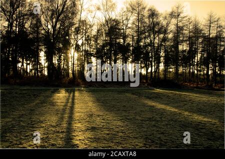 Una bella immagine che mostra il Setting Sun, presa su Cannock Chase, Staffordshire UK Foto Stock