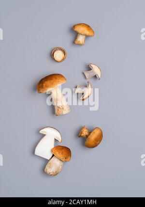 Funghi boletus edulis di diverse dimensioni su sfondo grigio, vista dall'alto. Cibo biologico, funghi forestali. Funghi commestibili raccolti da un tedesco f Foto Stock