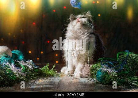 Kitty giocando con i giocattoli di Natale. Gatto sotto un albero di Natale. Buona festa con i giocattoli di Natale Foto Stock