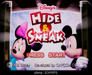 Gamecube - Disney's Hide and Sneak Nintendo Gamecube Complete #880 –  vandalsgaming