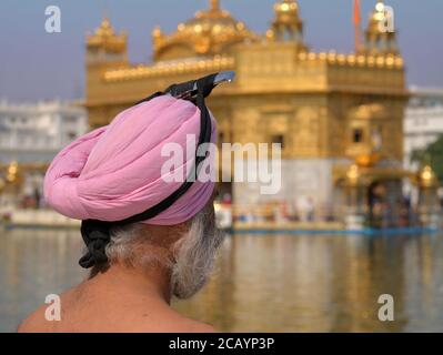 L'anziano uomo indiano Sikh con pugnale cerimoniale (kirpan) nel suo turbante rosa (dastar) guarda il Tempio d'Oro sullo sfondo. Foto Stock