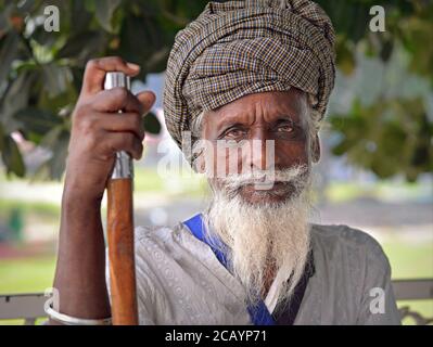 Il vecchio devoto indiano Sikh con gli occhi sparati di sangue si appoggia sul suo bastone da passeggio e guarda nella macchina fotografica. Foto Stock