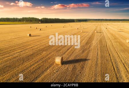 Vista aerea delle balle di fieno in estate. Vista dall'alto delle pile di fieno Foto Stock