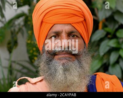 L'anziano guerriero indiano Sikh (nihang akali) con il turbante arancione (dastar) guarda nella fotocamera. Foto Stock